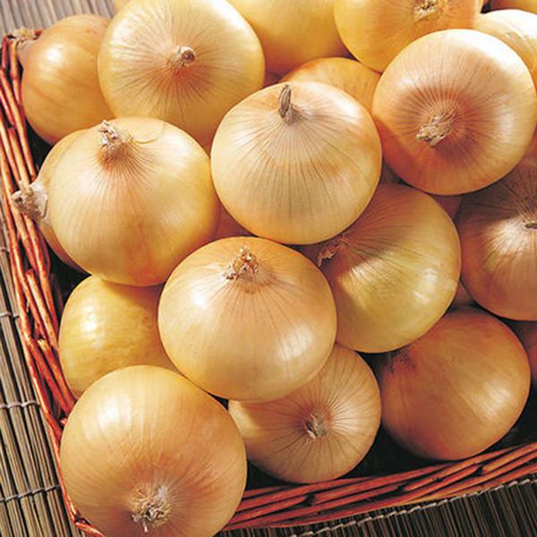 Giant Onion Seeds Vegetable Seed Kitchen Food Seasoner Potted Pl
